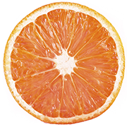 Orangerie Eiscafe Gaststätte Logo