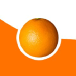 Orangewebsite Logo