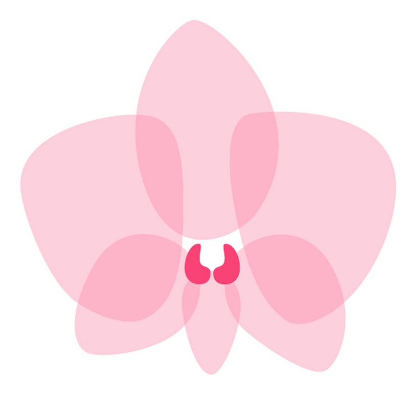 Orchideen Klusmann Logo