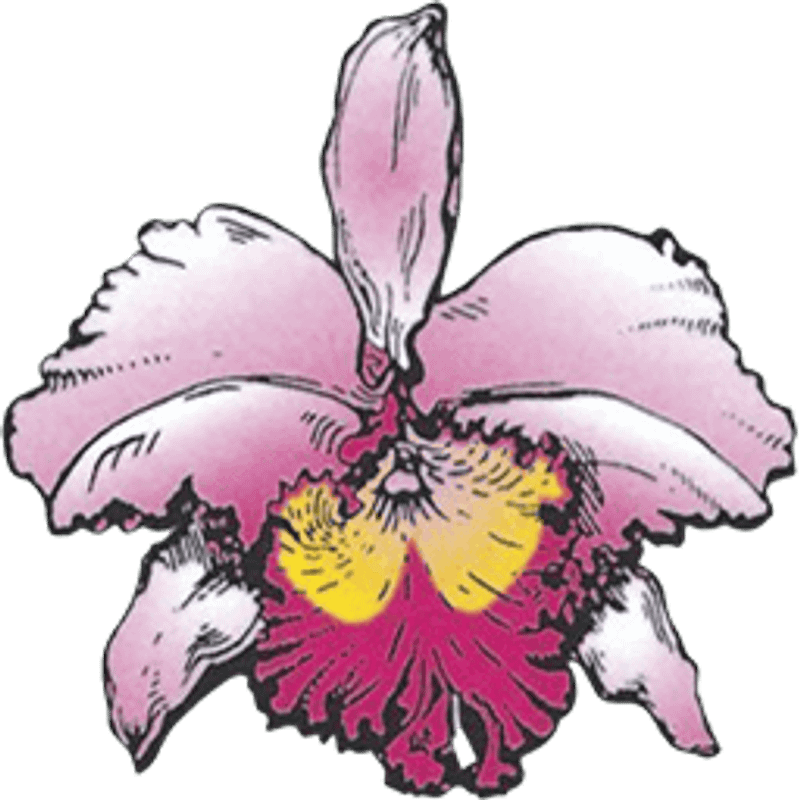 Orchideen Zentrum Wichmann GmbH Logo