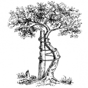 Hahne Holger Dr. Logo