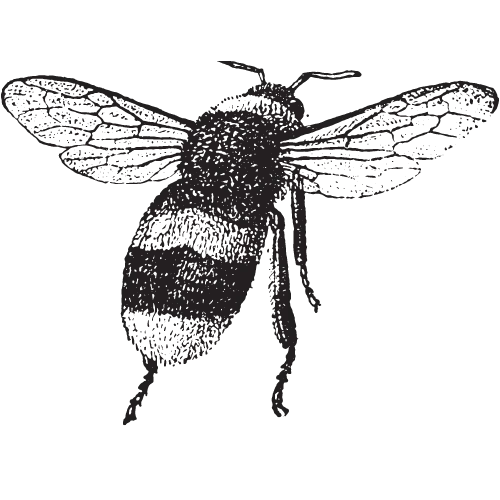 OTYZ Logo