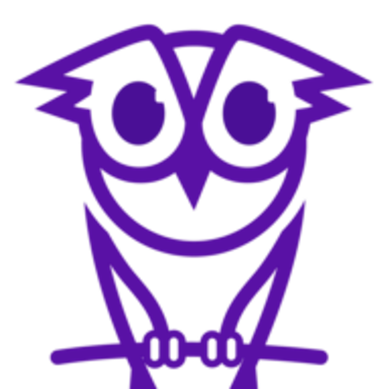 Owl Insights Logo