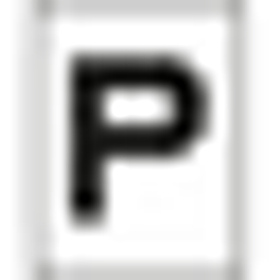 pace-sneakers.de Logo