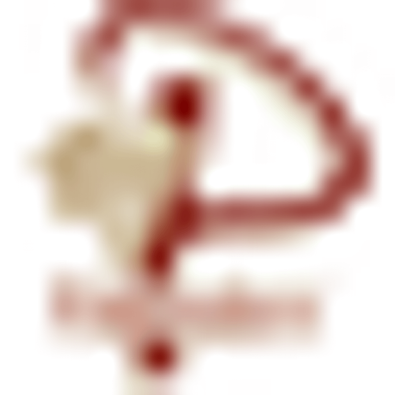 Pallhuber Logo