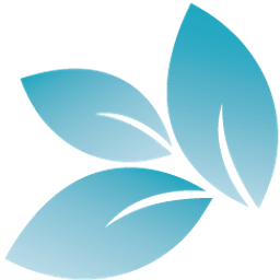 PALMKLINIK Köln Logo