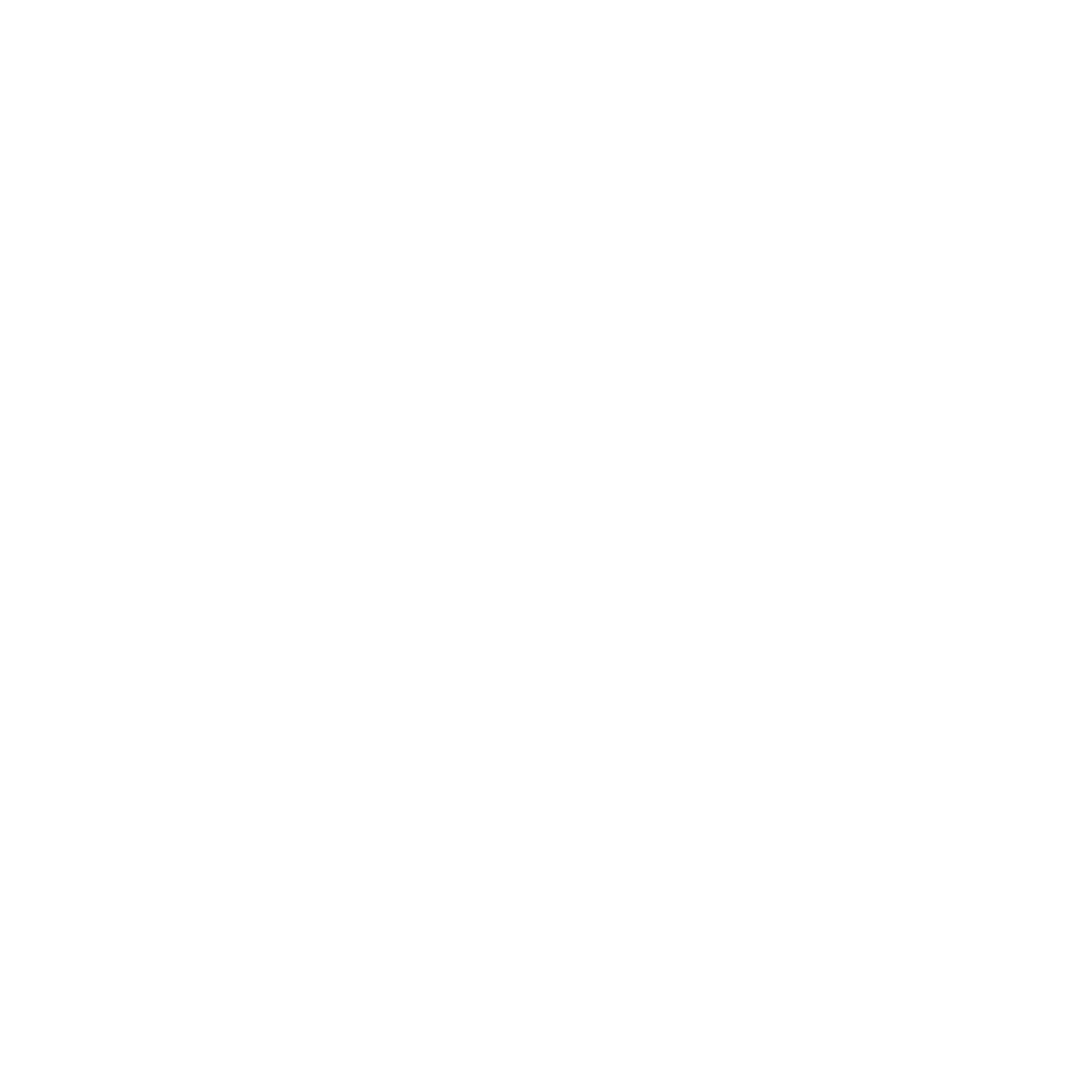 PA•RA•DO•XON BERLIN Logo
