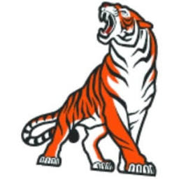 Party Tiger Logo