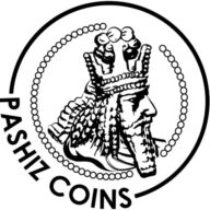 Pashiz Coins ltd Logo