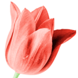 Patientenfixierung Logo