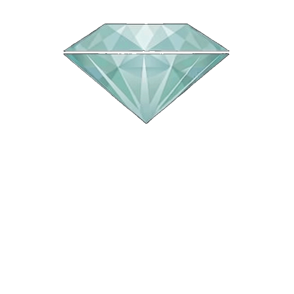 Wild Paul GmbH & Co. KG Edelsteinschleiferei Logo