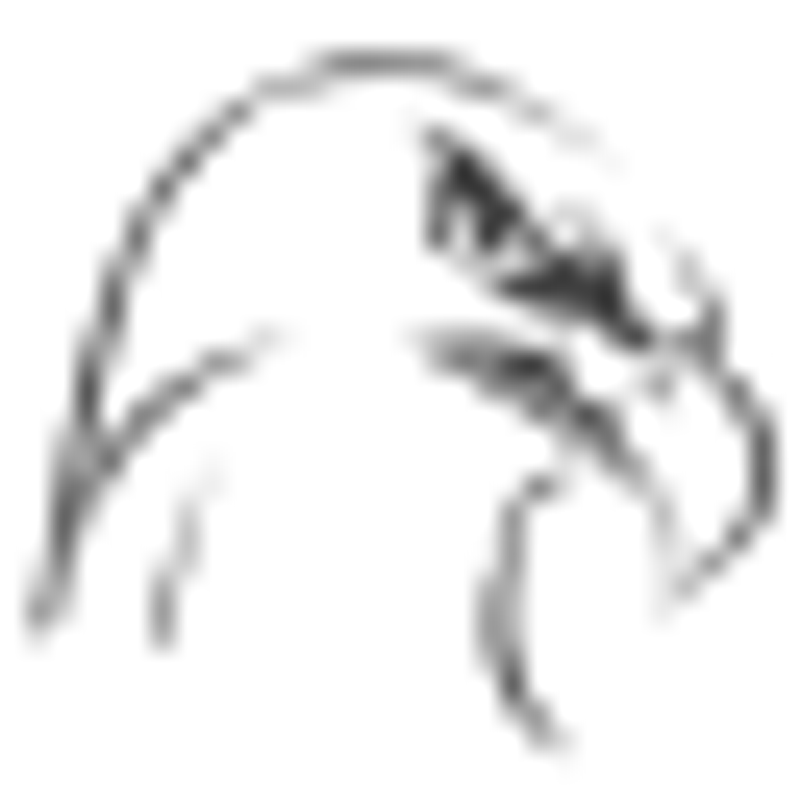 EagleComputer Logo