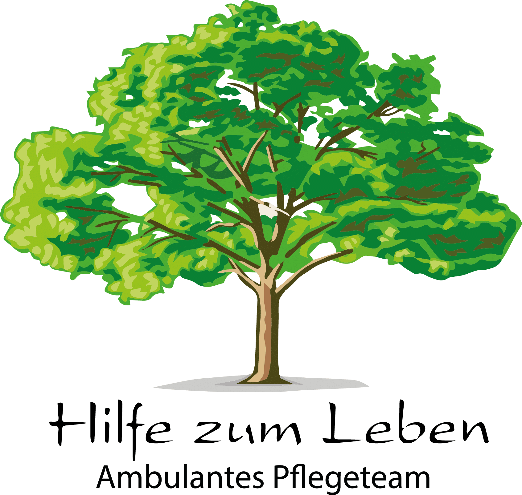 PFLEGETEAM HILFE ZUM LEBEN GMBH Logo
