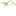 Matthias Bär Logo