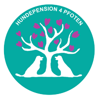 Vier Pfoten Hundepension Logo