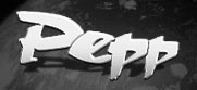 Pepp Transporte Umzüge & Kurierservice e.K. Logo