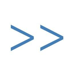 perfecttraffic Logo