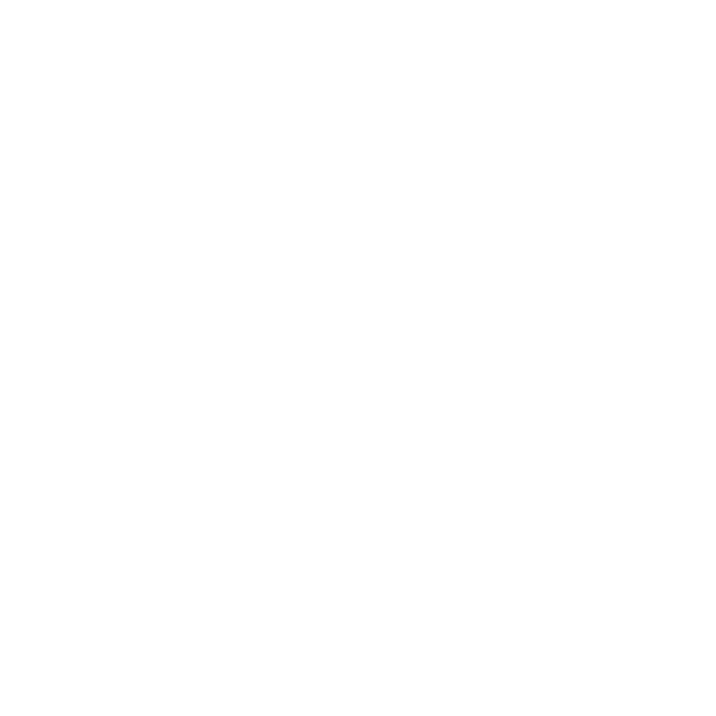 Perior Logo