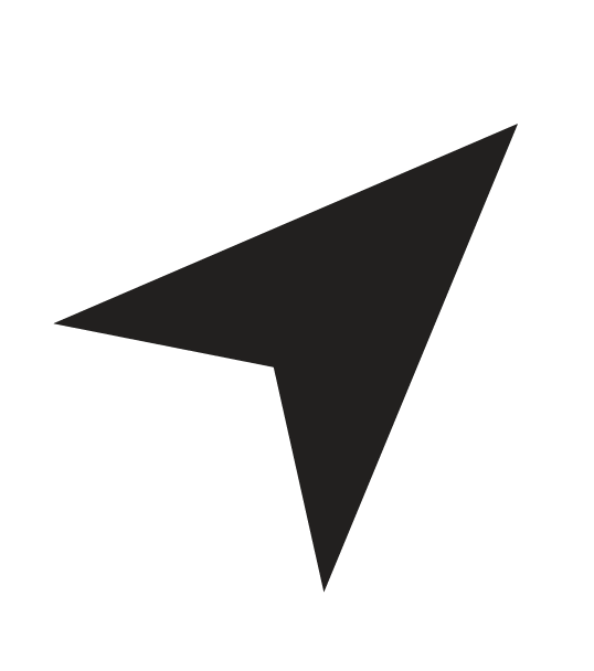Flühr Peter Logo