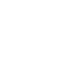 peterheinrichs.de Logo