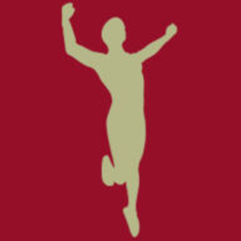 Petra Mayer Kinesiologie Logo