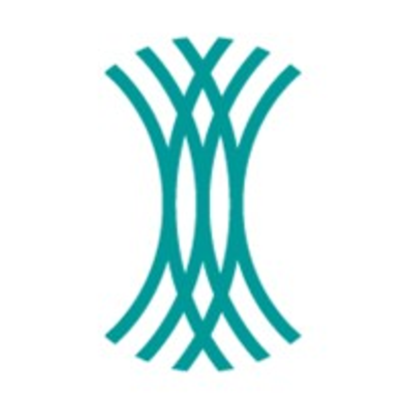 Pfalzwerke Netz AG Logo