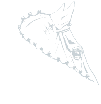 Niemendal Rutmer Dr.med.vet. Fachtierarzt für Pferde Logo