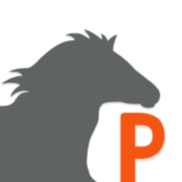 Pferdepunkt Logo