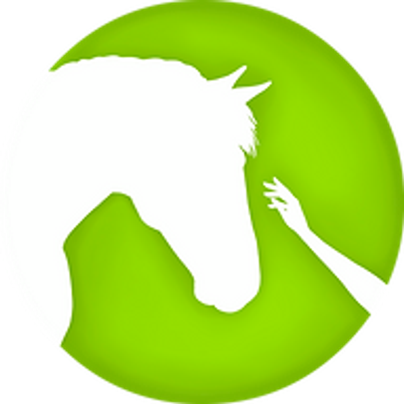 Pferdetherapie Verena Rohr Logo