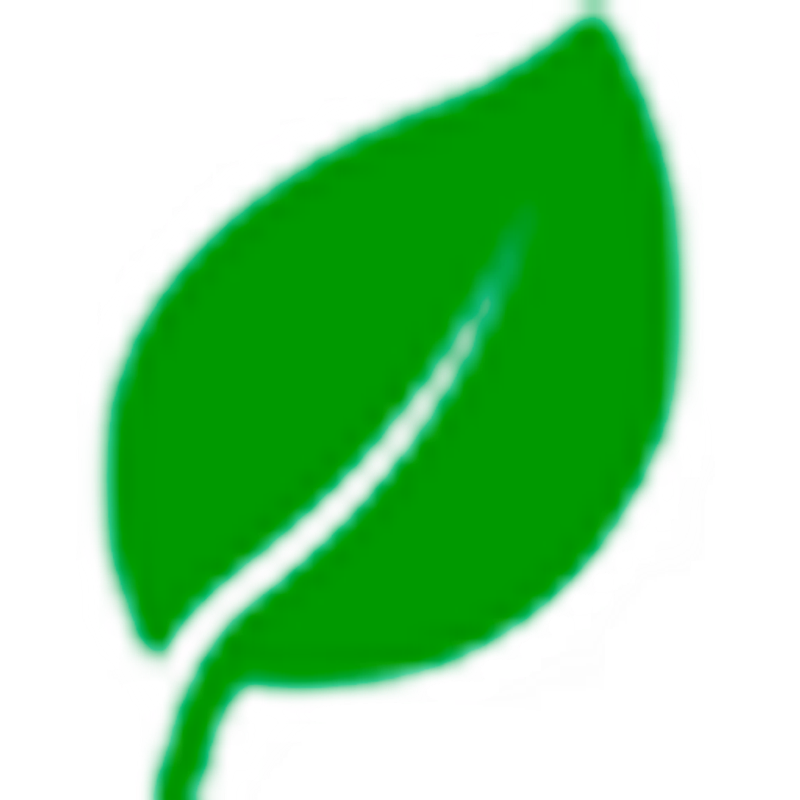 Pflanzenheld Logo