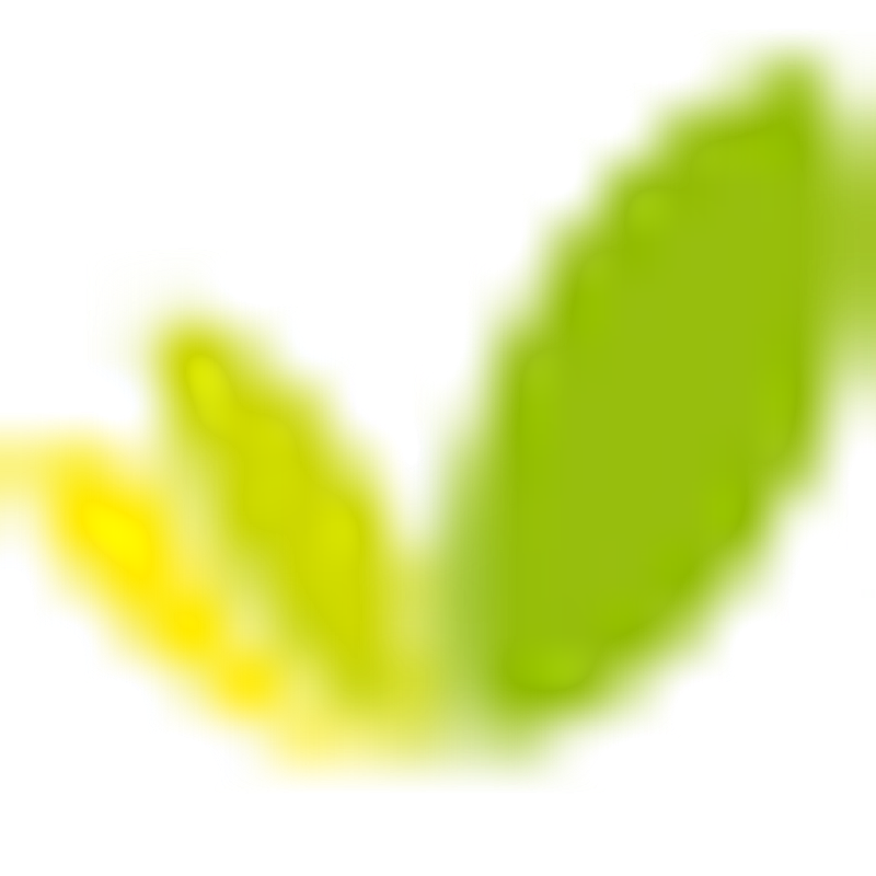 Pharmeo Logo