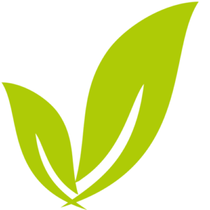 physiovital Logo