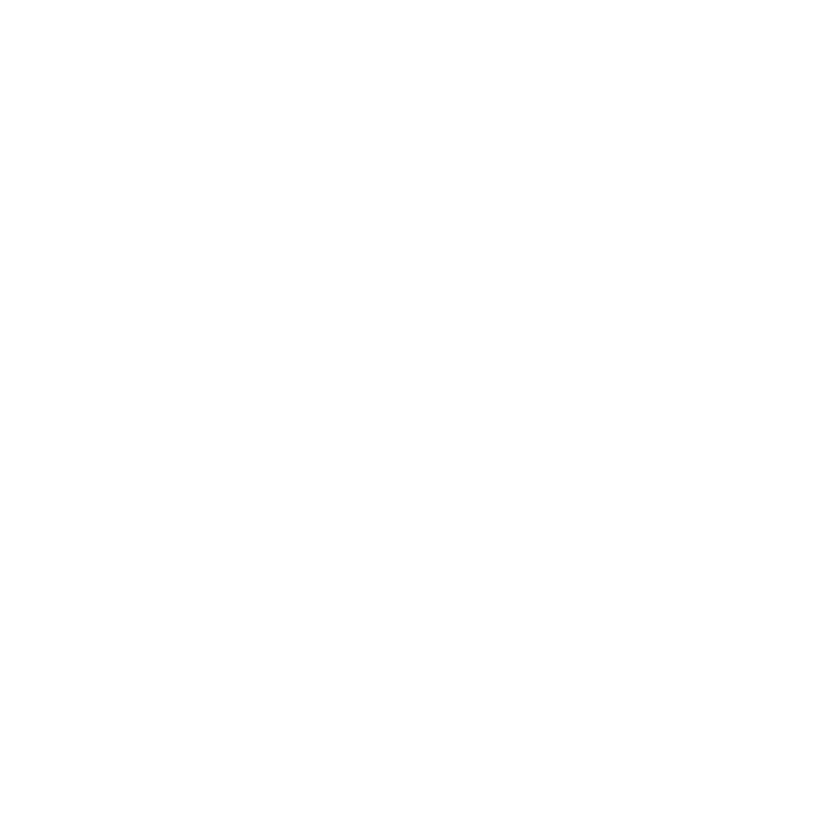 De Bruyn Physiotherapie Logo