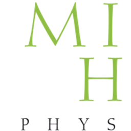 Physiotherapie Michael Holtz Logo