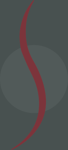 Physio Praxis Stefan Müller Logo