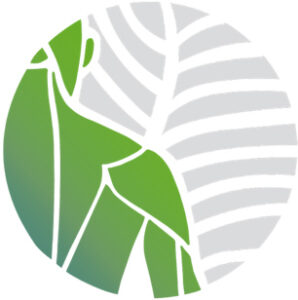 Nockmann Vivian Praxis für Physiotherapie Logo
