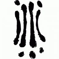 Kruskopf Antje Physiotherapie Logo