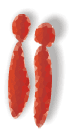 Sons Claudia Krankengymnastik Logo
