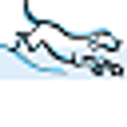 Peper Ulrike Dr.med.vet. Tierphysiotherapie Logo