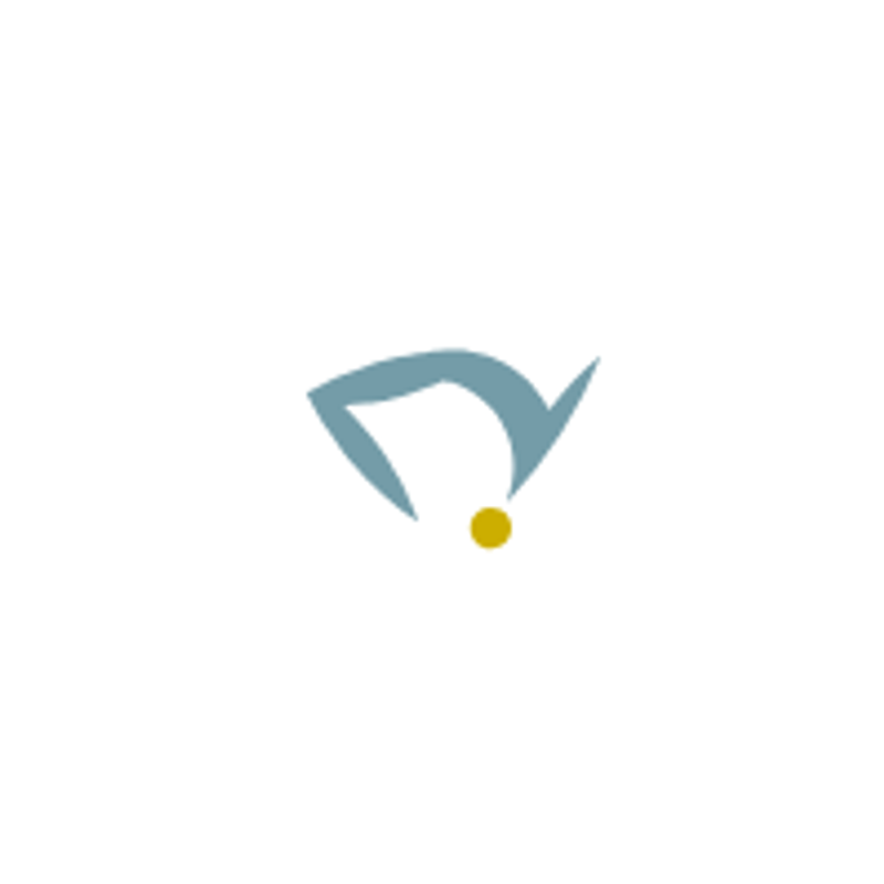 Salto - Zentrum für Physiotherapie GmbH Logo