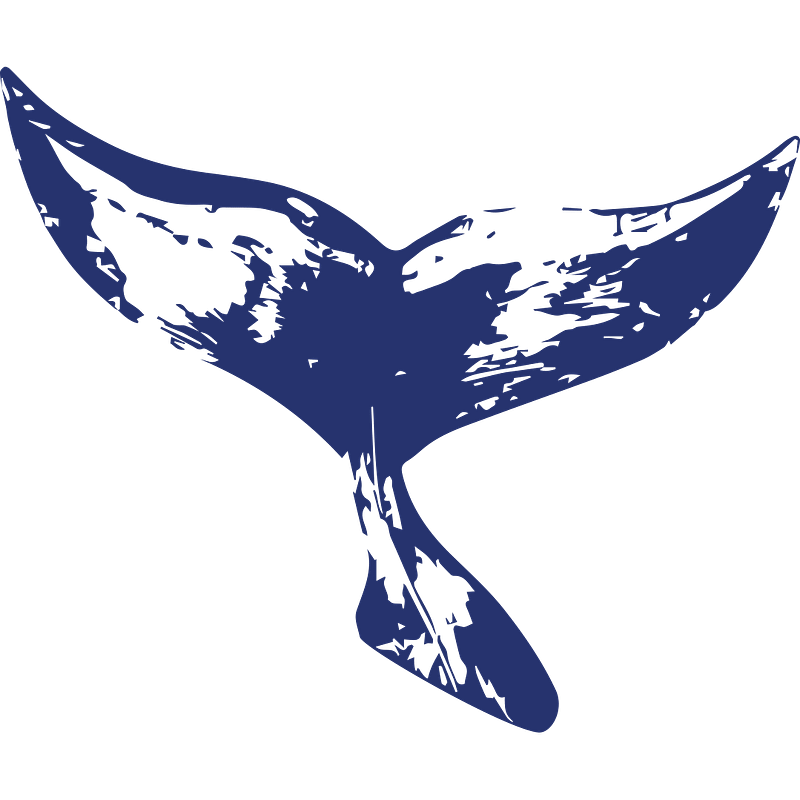 pico-sport.com Logo