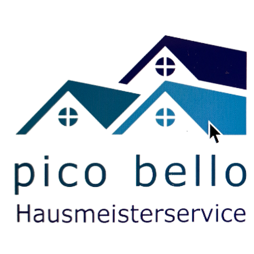 Picobello24 Logo