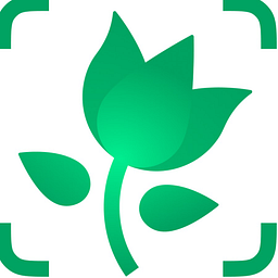 Picturethisai Logo