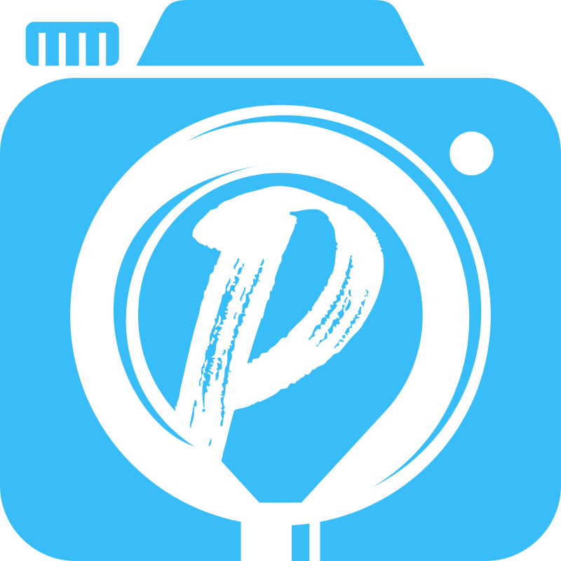 Picturo Photography UG Logo