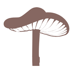 pilzbrut.de Logo