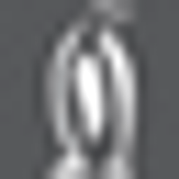 PINGUINmedia Logo