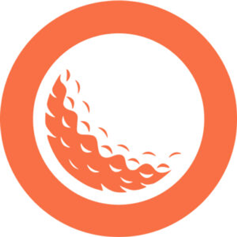 Pitching Zone Logo