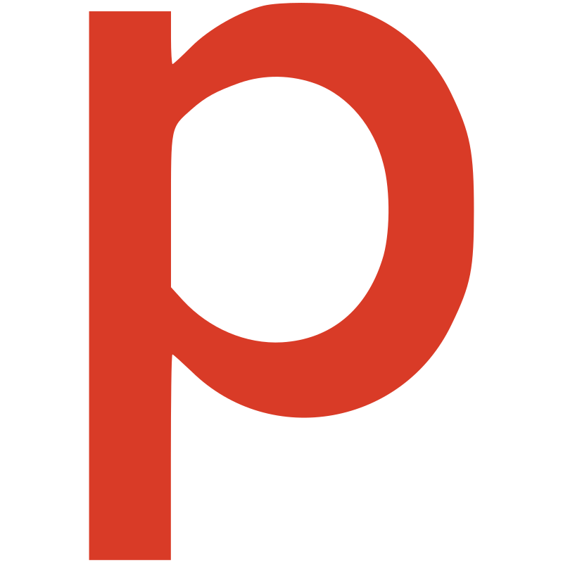 PITS Datenrettung Logo