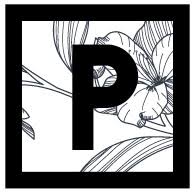 piubella.de Logo