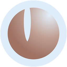Plastische Chirurgie Dr. Giessler Logo